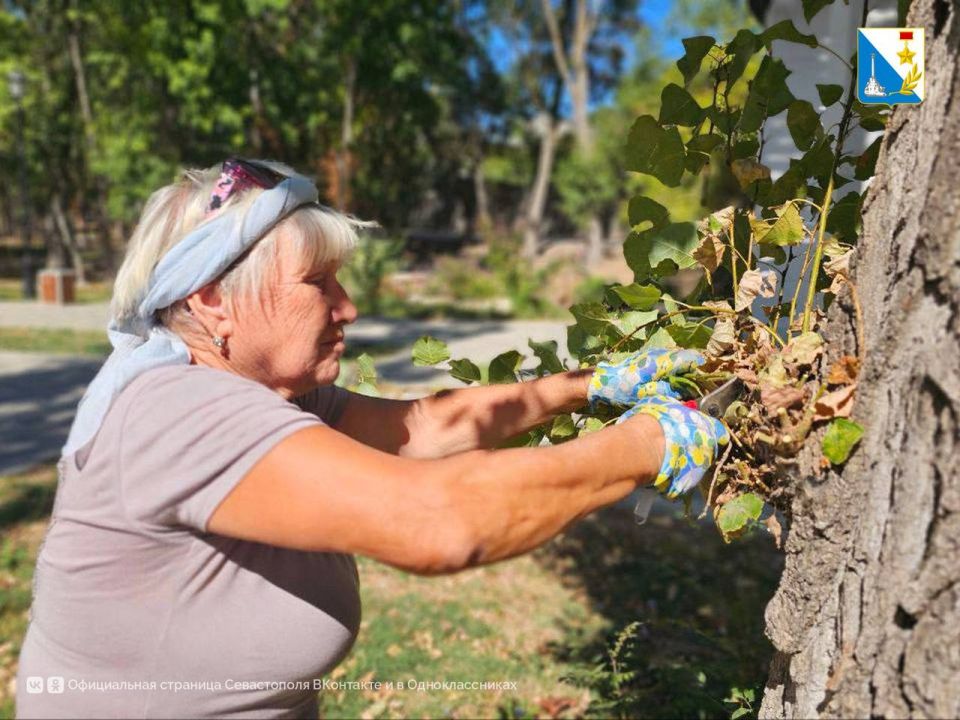 Ухаживаем за цветами. Специалисты «Парков и скверов» приводят в порядок сквер имени Софьи Перовской в Любимовке — одну из крупнейших зеленых зон Северной стороны Ухаживаем за цветами. Специалисты «Парков и скверов» приводят в порядок сквер имени Софьи Перовской в Любимовке — одну из крупнейших зеленых зон Северной стороны