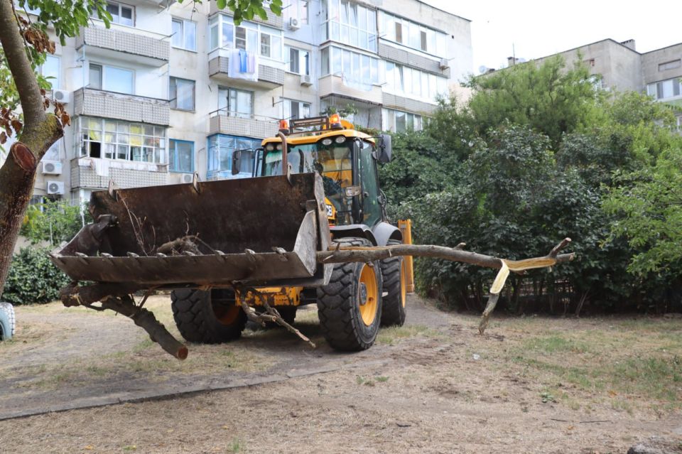 Ежедневно в Керчи работают специалисты Зеленхоза: приводят в порядок цветники и клумбы, производят санитарную обрезку и снос деревьев, поливают растения Ежедневно в Керчи работают специалисты Зеленхоза: приводят в порядок цветники и клумбы, производят санитарную обрезку и снос деревьев, поливают растения