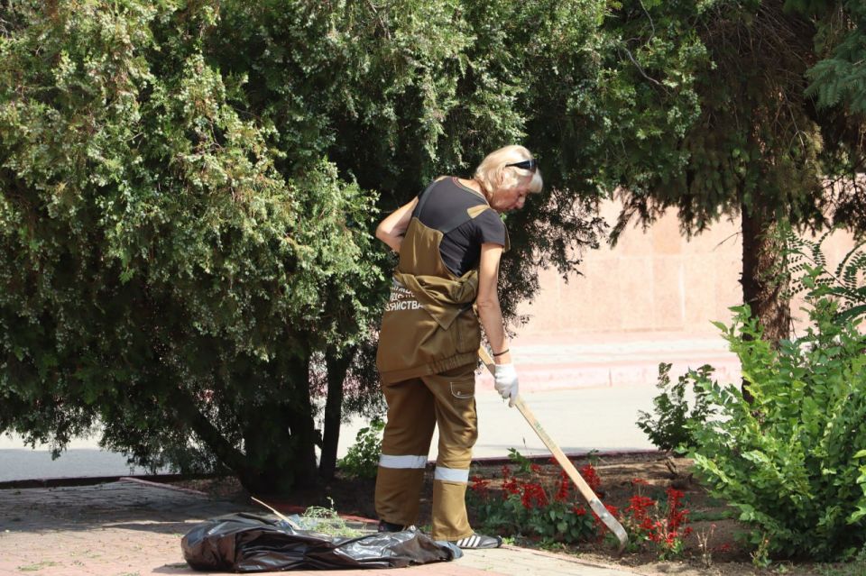 Ежедневно в Керчи работают специалисты Зеленхоза: приводят в порядок цветники и клумбы, производят санитарную обрезку и снос деревьев, поливают растения Ежедневно в Керчи работают специалисты Зеленхоза: приводят в порядок цветники и клумбы, производят санитарную обрезку и снос деревьев, поливают растения