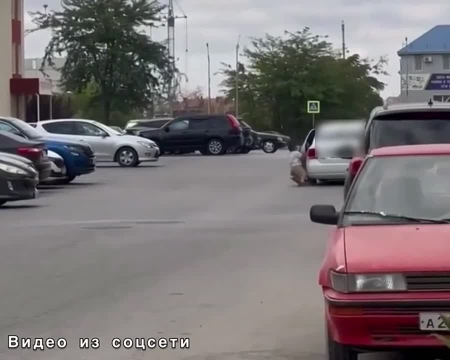  :  ,       