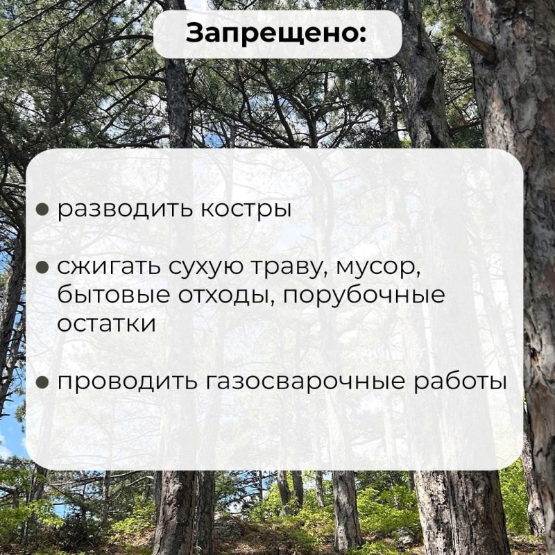 В Крыму ограничено пребывание в лесах В Крыму ограничено пребывание в лесах