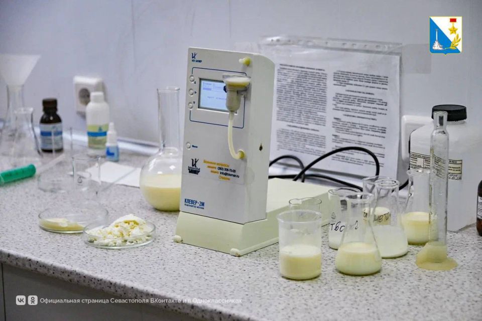 Проверили безопасность продуктов на рынках Проверили безопасность продуктов на рынках