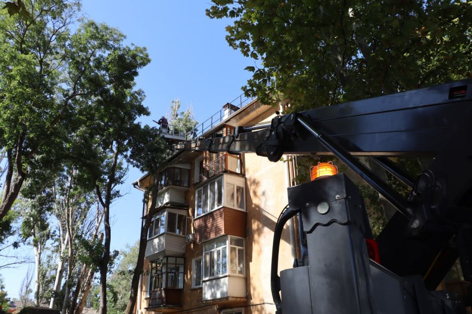 Во дворе дома по ул. Самойленко, 7 сегодня ведётся снос сухостоя и санитарная обрезка деревьев Во дворе дома по ул. Самойленко, 7 сегодня ведётся снос сухостоя и санитарная обрезка деревьев