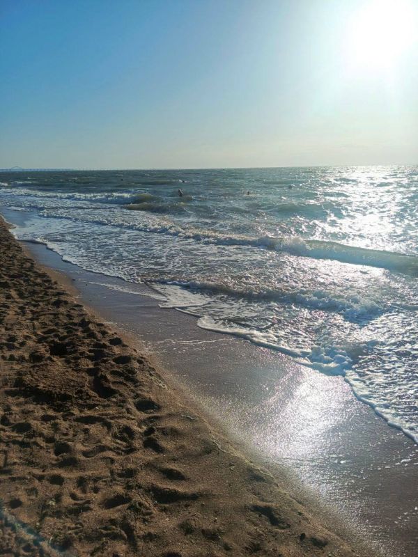 ����������� ������� ���� �� �������� ������, 28 �������