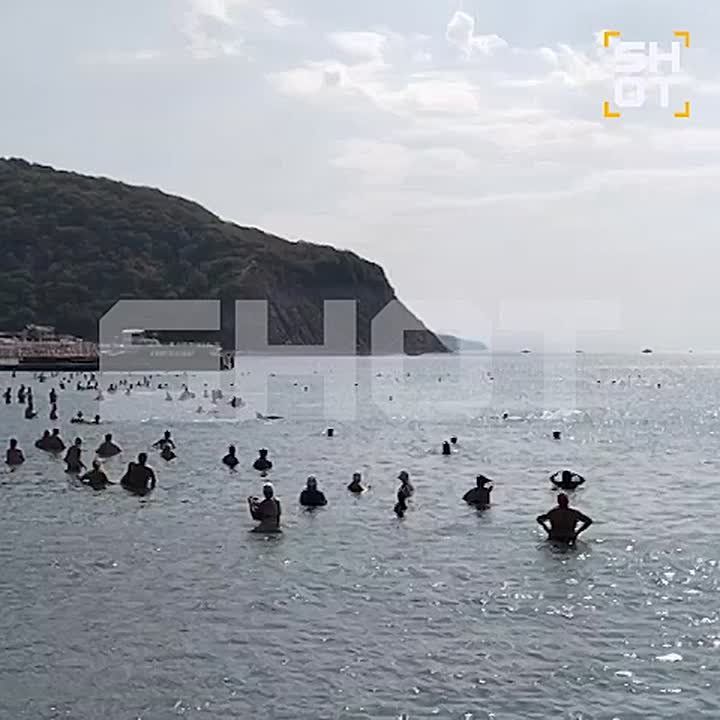     -    