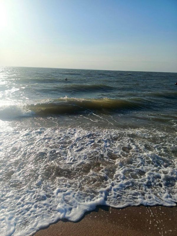 ����������� ������� ���� �� �������� ������, 28 �������