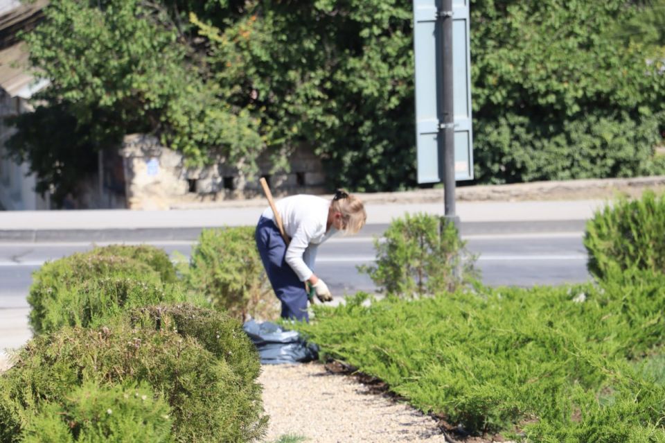 Во дворе дома по ул. Самойленко, 7 сегодня ведётся снос сухостоя и санитарная обрезка деревьев Во дворе дома по ул. Самойленко, 7 сегодня ведётся снос сухостоя и санитарная обрезка деревьев