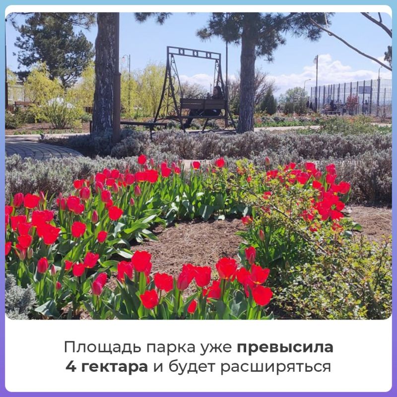 ���� ����� �������� ����� �� IX ������������� �������� ������������ ��������