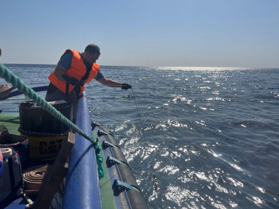 В результате ЧП в порту Новороссийска в Черное море попало около 30 кубометров нефти В результате ЧП в порту Новороссийска в Черное море попало около 30 кубометров нефти