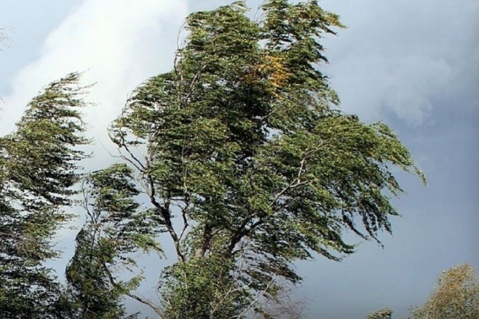 ���� � �� ����� ����� 29 �������, ����� 30 ������� � ����� ���������� ������-��������� ����� 15-20 �/�