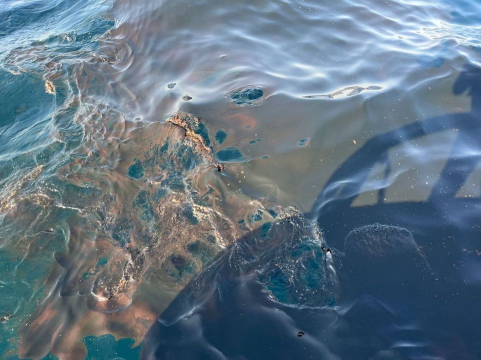 В результате ЧП в порту Новороссийска в Черное море попало около 30 кубометров нефти В результате ЧП в порту Новороссийска в Черное море попало около 30 кубометров нефти