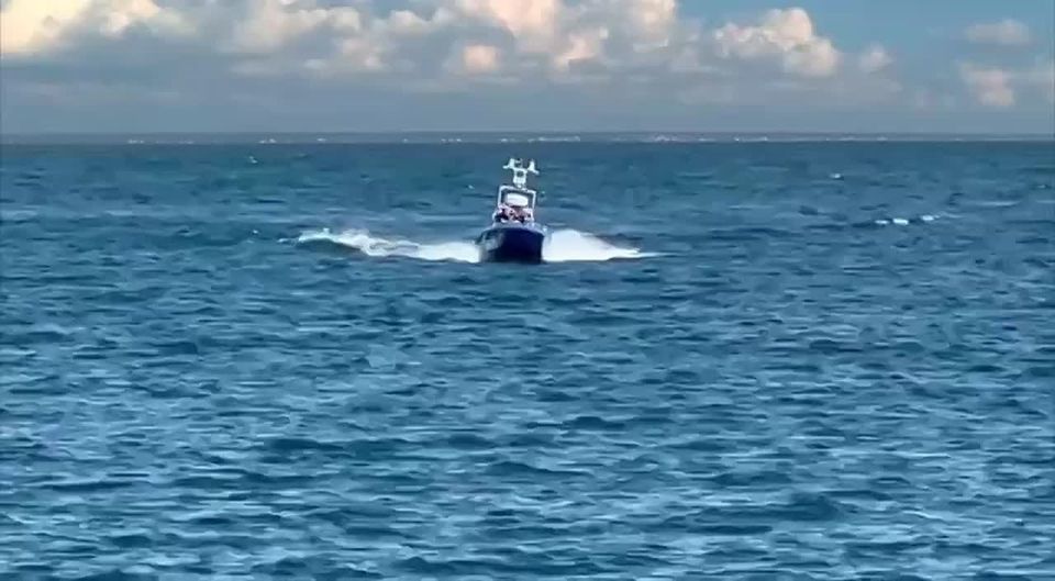  :                  -