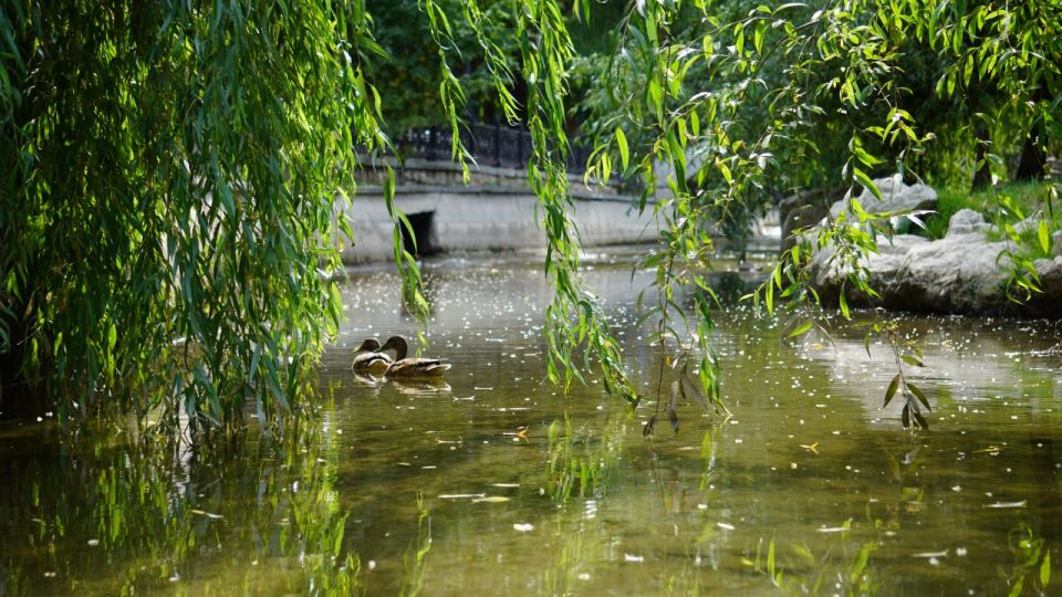 ������� ������ � ����� �� 30 �������