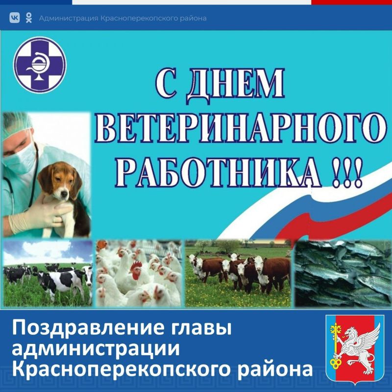 ������ �������: ���������� ���������� ������������ ������ � ���������������� ���������� � ����� �������� ��������, ���� � ������������, ����� � ���������� ���������� ������!