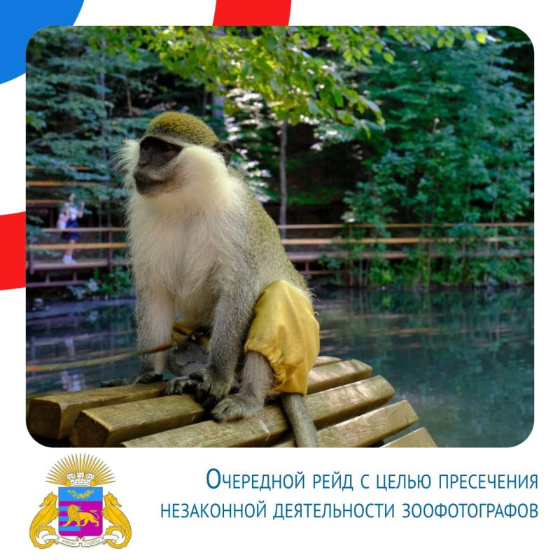 Янина Павленко: Подводим итоги последней летней недели Янина Павленко: Подводим итоги последней летней недели
