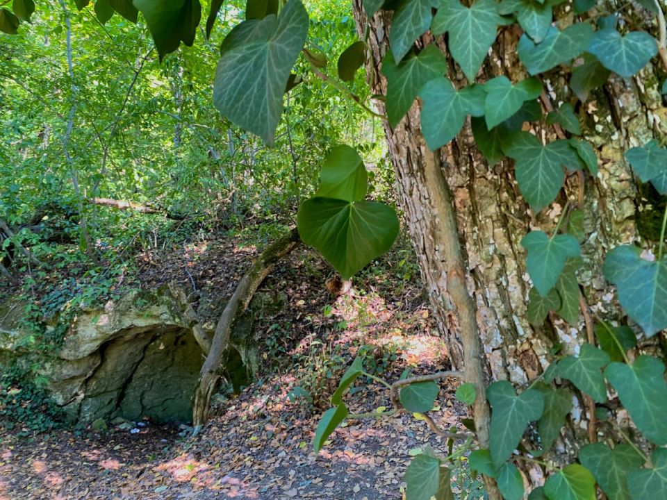 ������� ������ � ����� �� 31 �������