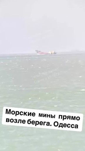 :       ()      NS PRIDE   ,   
