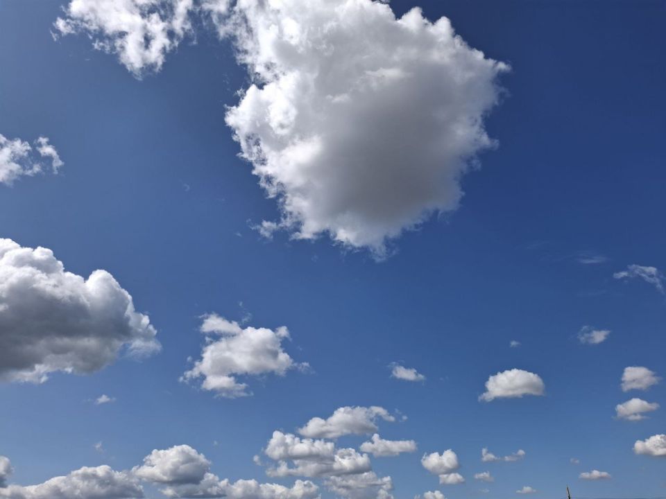 ������� ������ � ����� �� 1 ��������