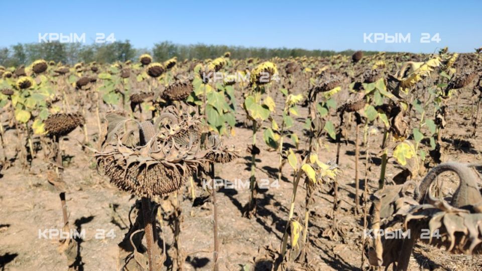 ������ �������: ������ ������� �������� �������������� ������������������ ������: ������� �� �����