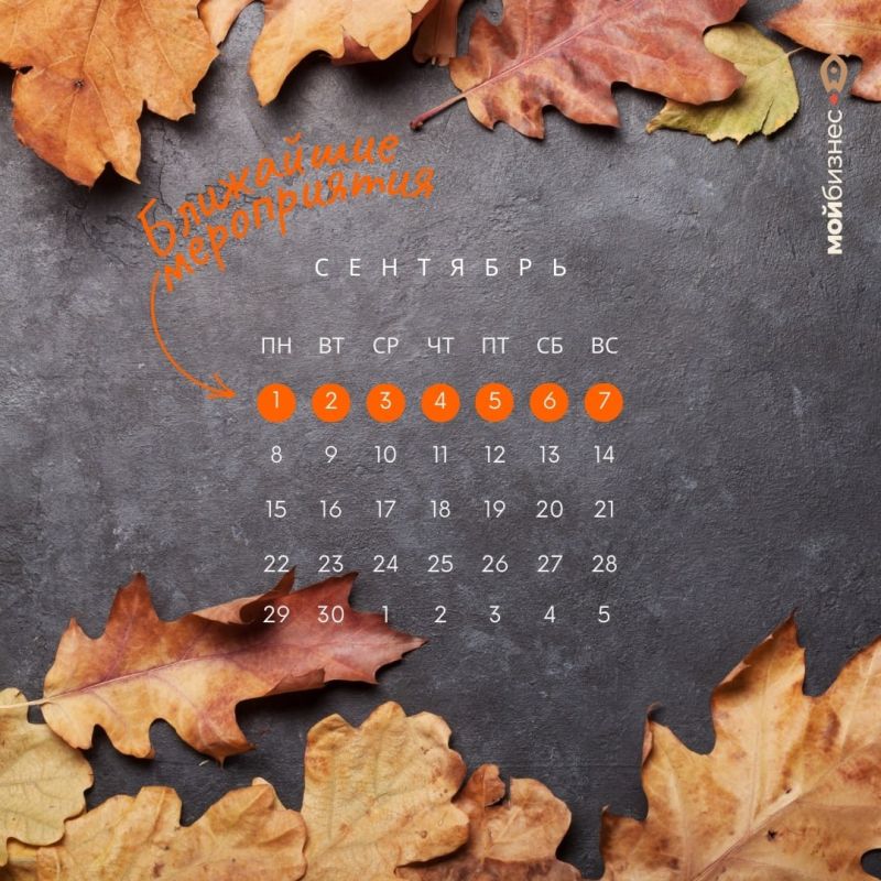 ��������� �����������: 1 � 7 ��������