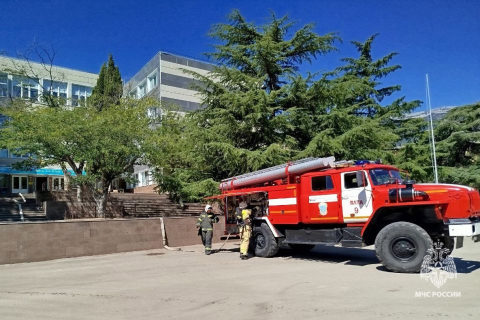 � ������ ����� ������������� �������� ������