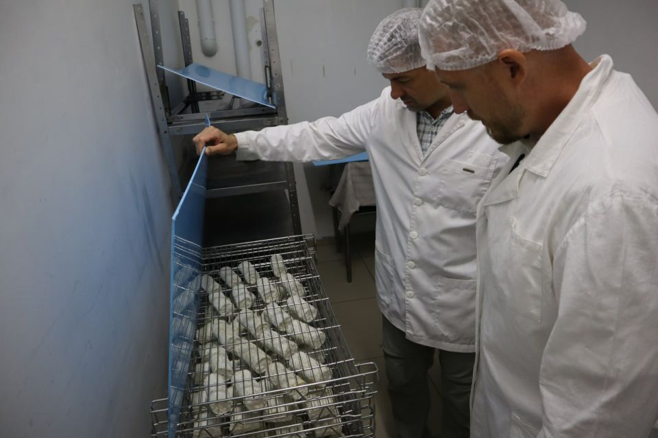 ������� ������� ���������������� �������� �������� (��� ������ �����), ������� � 2018 ���� ������� �������� � ������������� �������� ��������� ������������ ������