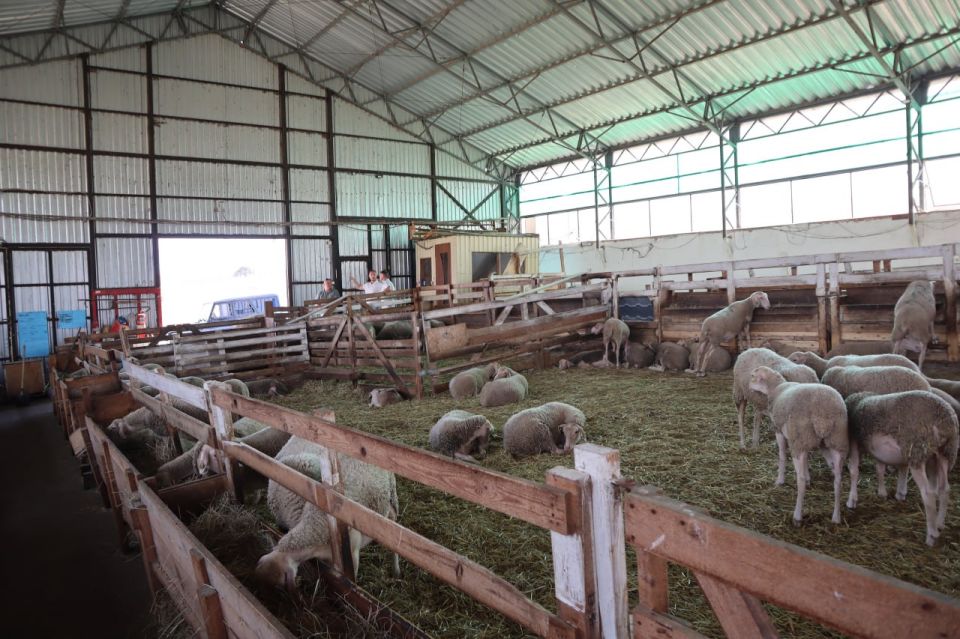 ������� ������� ���������������� �������� �������� (��� ������ �����), ������� � 2018 ���� ������� �������� � ������������� �������� ��������� ������������ ������