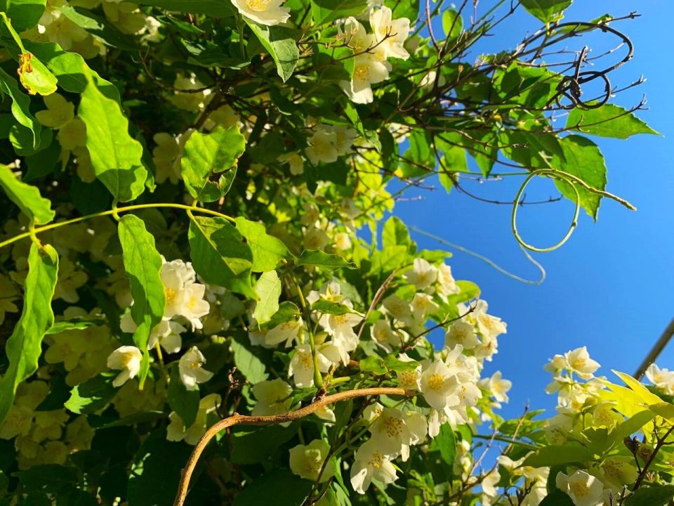 � ������ �����, �������!. ������ �����