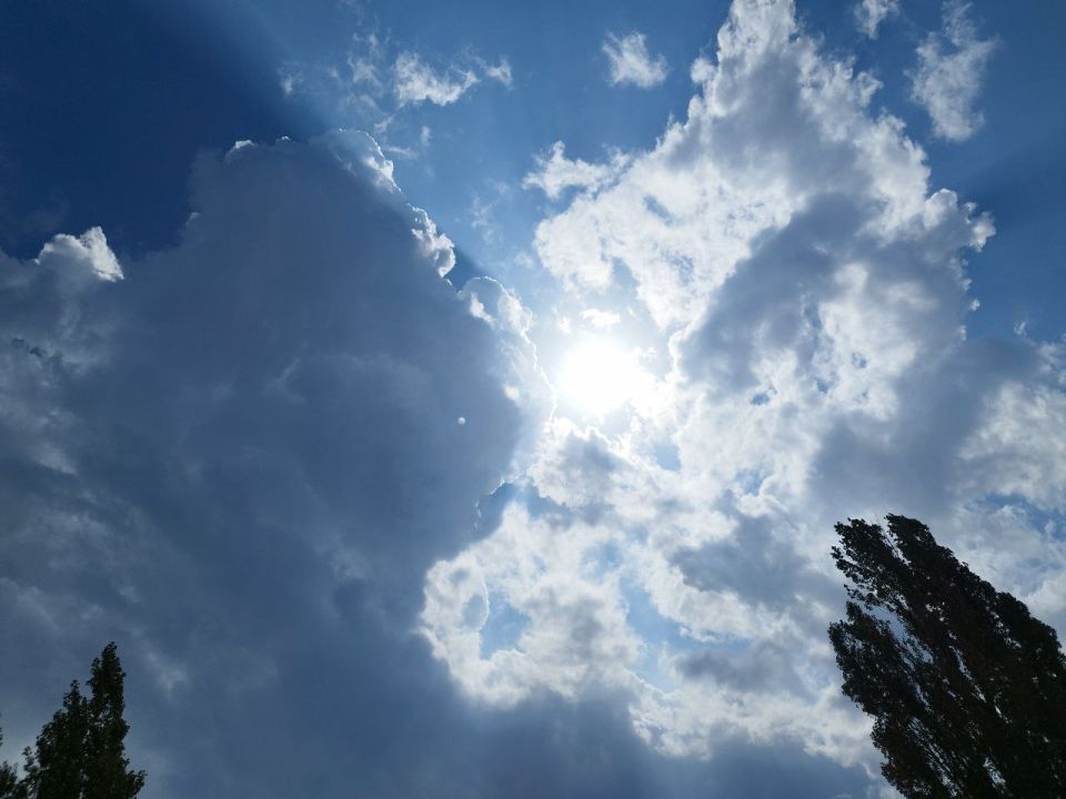 ������� ������ � ����� �� 2 ��������