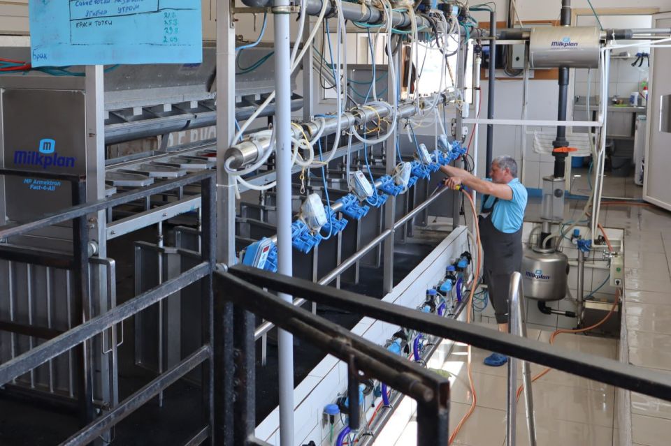 ������� ������� ���������������� �������� �������� (��� ������ �����), ������� � 2018 ���� ������� �������� � ������������� �������� ��������� ������������ ������