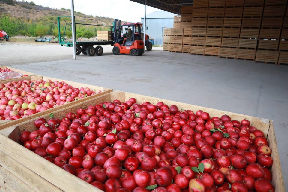 ��������� ������� ������� �� �������������������� ������������ ������������ ������