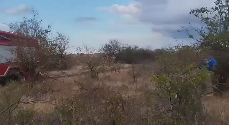 � ��������� ������ �������� ������ "���������" �������� �������� � ��� �����