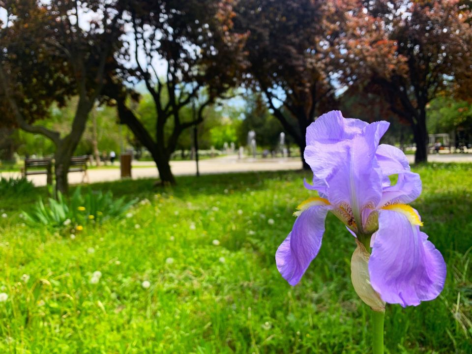 � ������ �����, �������!. ������� ���� ���������� � ����������� ����