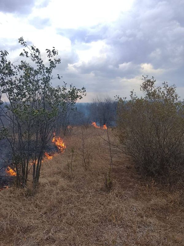 ��������� ������������� ����� � ��������� ������