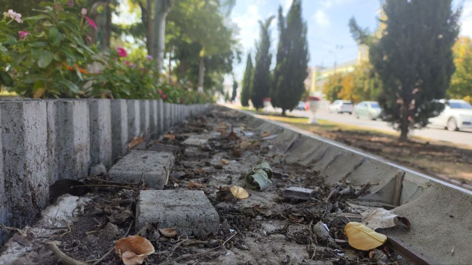 В сквере у Морского вокзала меняют верхние элементы подпорной стенки В сквере у Морского вокзала меняют верхние элементы подпорной стенки