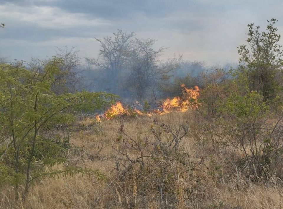 ��������� ������������� ����� � ��������� ������