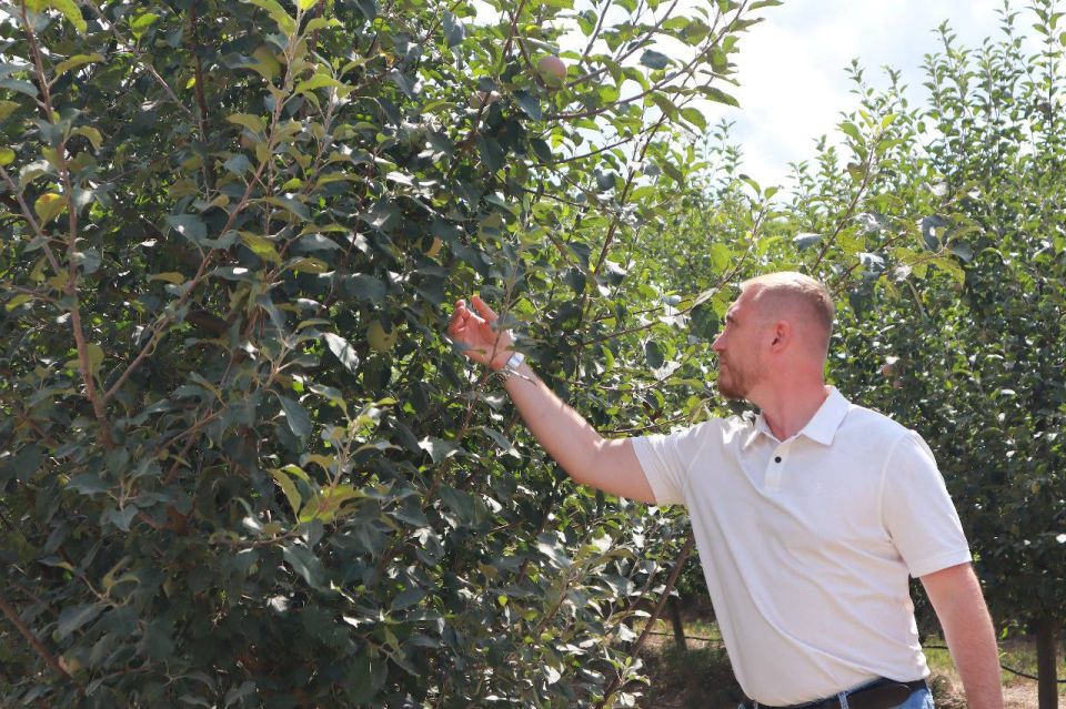 ��������� ������� ������� �� �������������������� ������������ ������������ ������