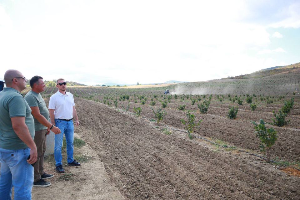 ��������� ������� ������� �� �������������������� ������������ ������������ ������