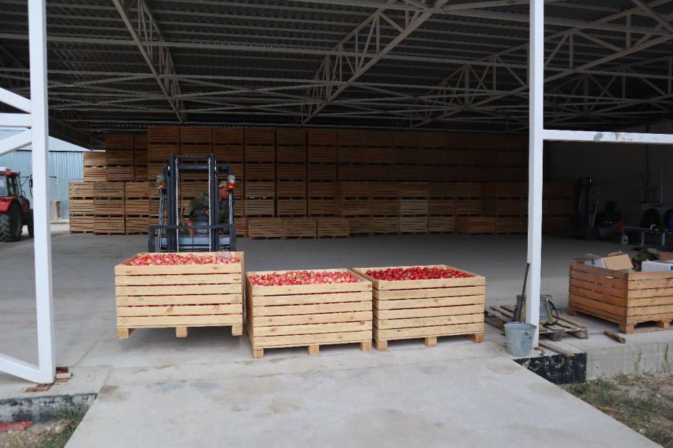 ��������� ������� ������� �� �������������������� ������������ ������������ ������