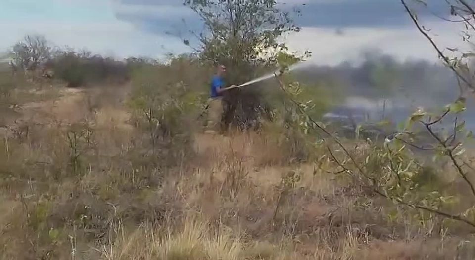 ��������� ������������� ����� � ��������� ������