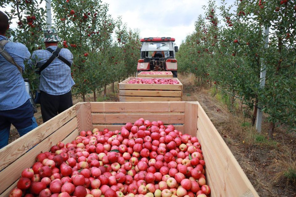 ��������� ������� ������� �� �������������������� ������������ ������������ ������