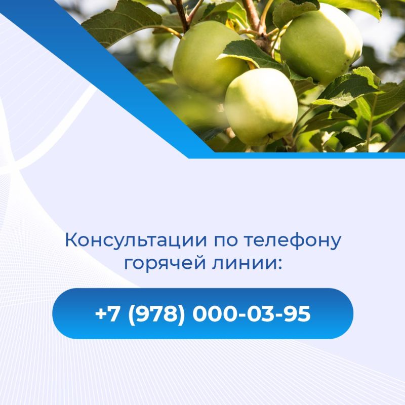 �� 8 �������� ������� ����������� ����������� ��� ������ ������ ������ ��������� �� ��������� �������������� �������