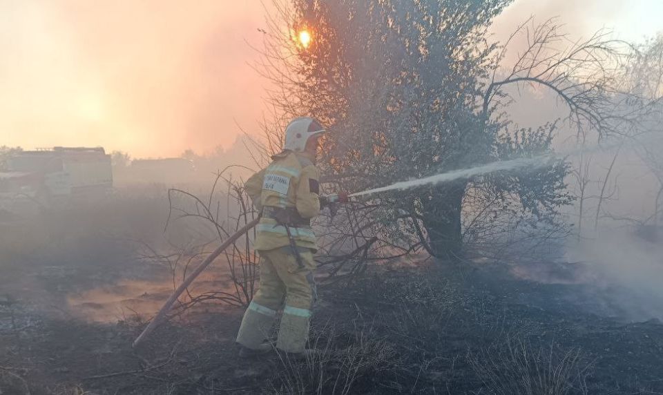 ���������� ���������� ����� ��������������