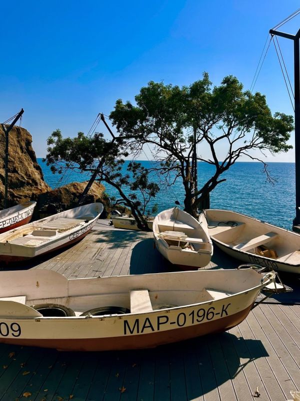 ����� ������ ������.. ������� �������