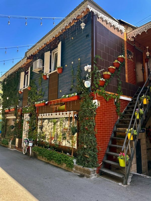 ����� ������ ������.. ������� �������