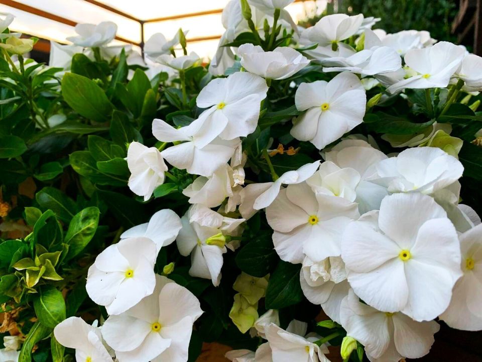 � ������ �����, �������!. ������, ����� ������� ���������� ����� ����� ��������� �������