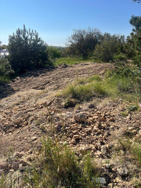 � ����������� ��������� �������, ����������� ������ ���������������� ��������