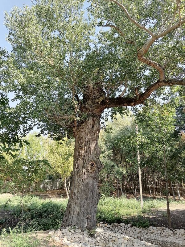 �������� �������: ������ ���� ��������� ���������� ������ ����� ������� ������������ ��������� ����� ������������ ����� ��������, ���� ������ ����� ��������� ������������ �� ������������� ������ ������� ������ ���������