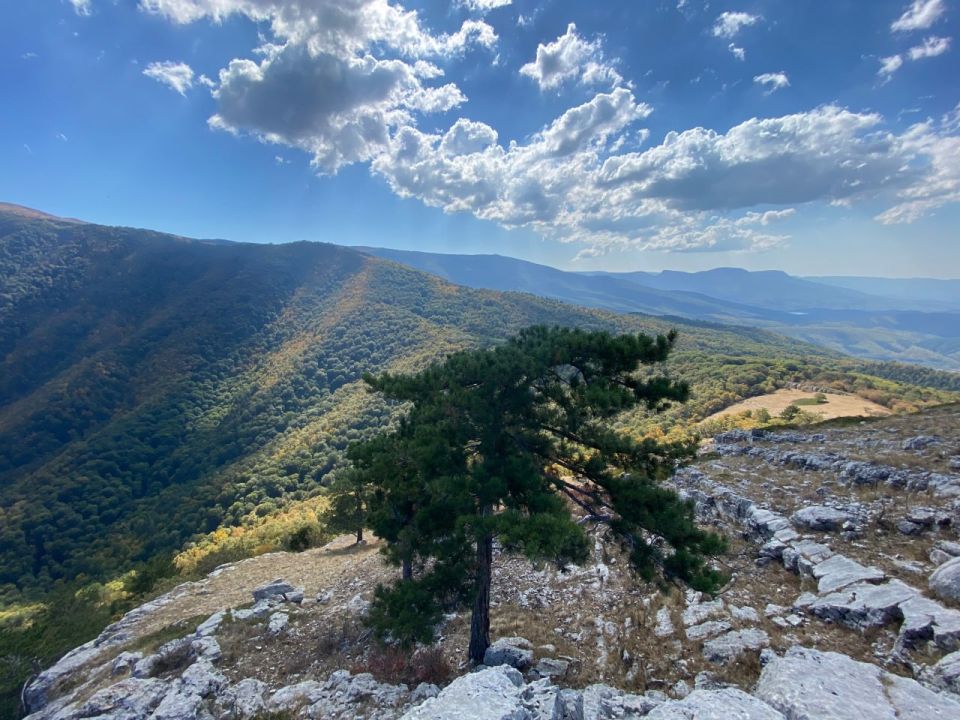 ������� ������ � ����� �� 5 ��������