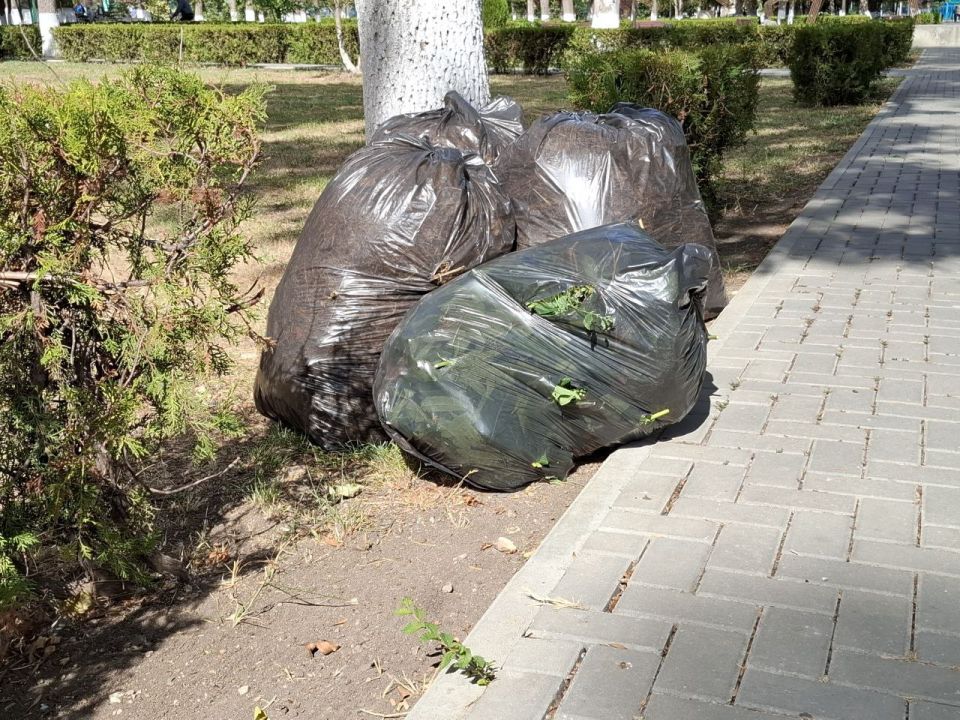 ��������� ��������: ������� ������ ������� � ������������ ���������� �� ���������� ������� � ��������������� ���������� ���������� �������